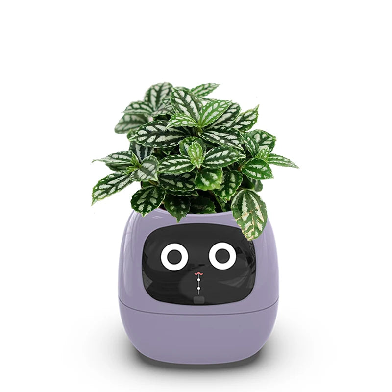 Smart Small Flower Pot