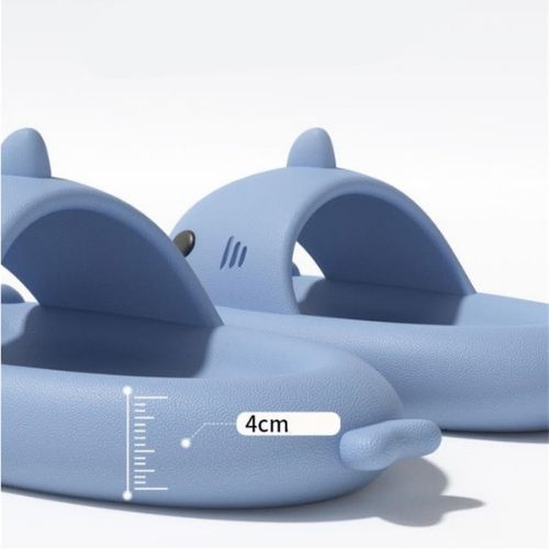 Shark Slides